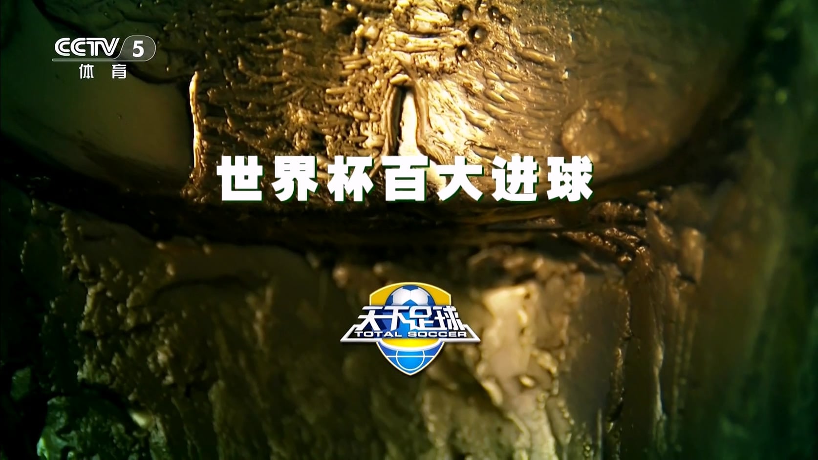 【90分钟足球网 www.90oo.com】2026-06-08 天下足球（世界杯百大进球）1080 cctv hdtv.jpg
